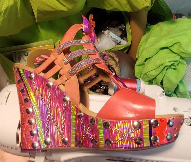 shoewip5